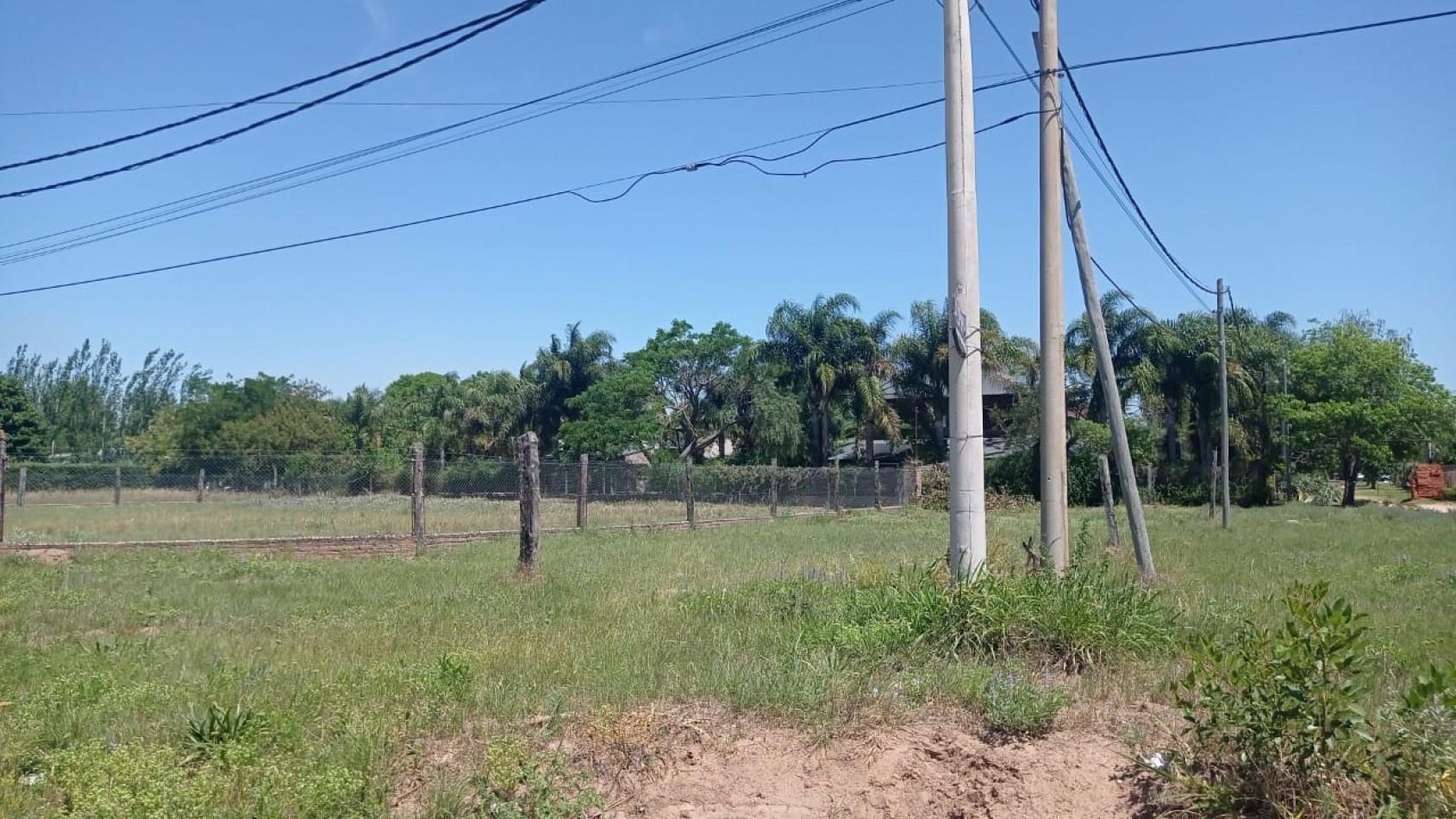 LOTE EN OCHAVA, CALLE LOS ÑANDUBAYS Y LOS GARABATOS, LAS PALTAS
