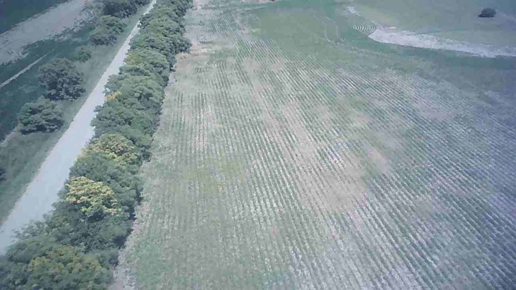 TERRENO EN COLONIA SAN JOSE, SANTA FE