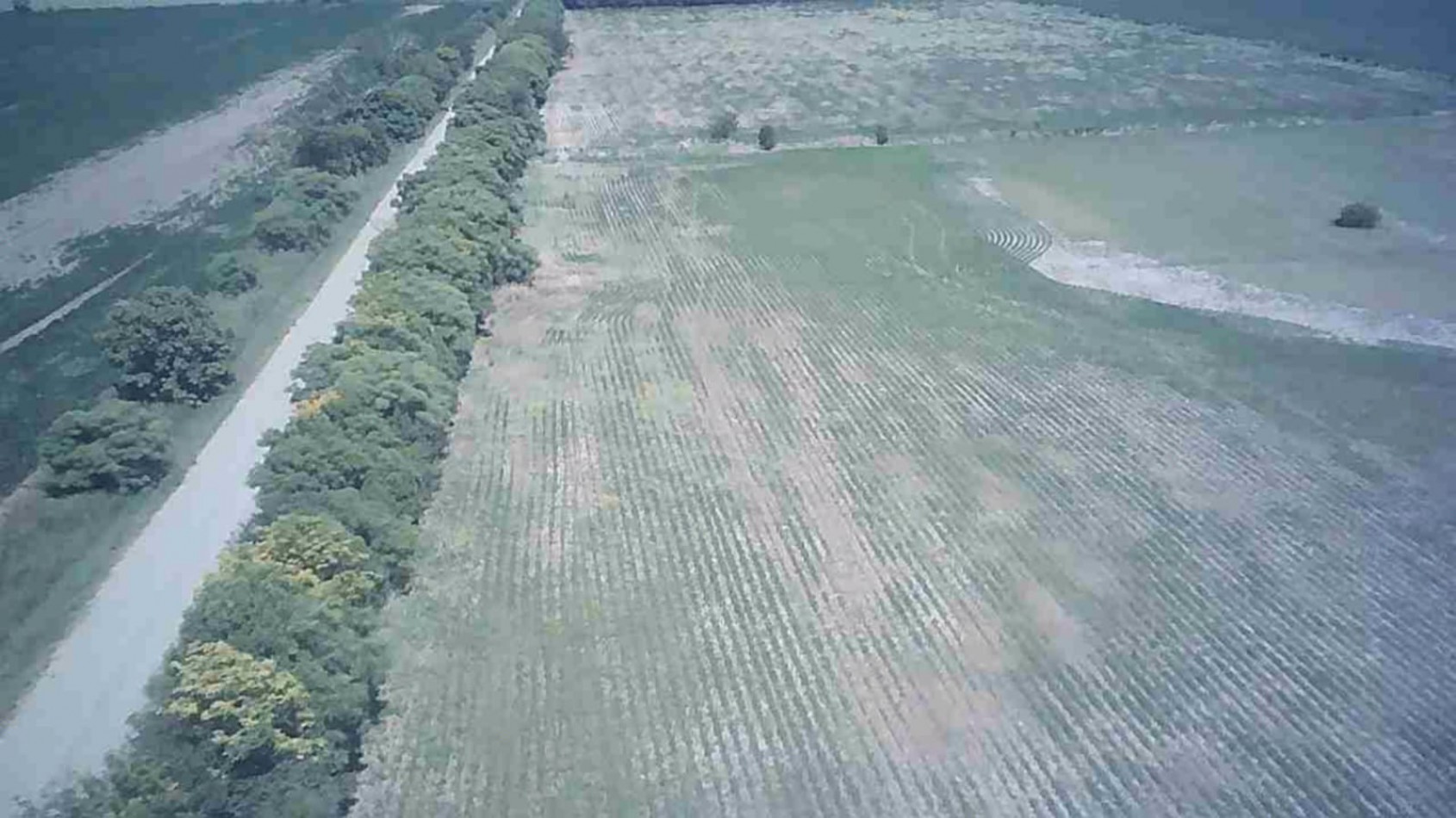 TERRENO EN COLONIA SAN JOSE, SANTA FE