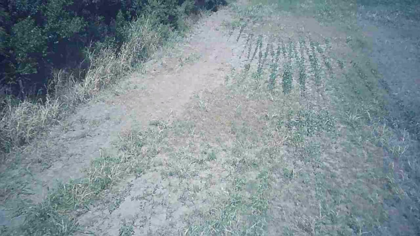 TERRENO EN COLONIA SAN JOSE, SANTA FE
