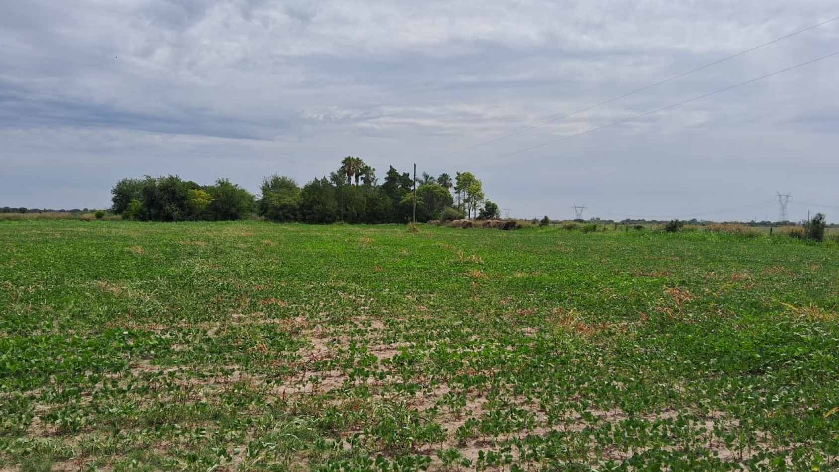 TERRENO EN COLONIA SAN JOSE, SANTA FE