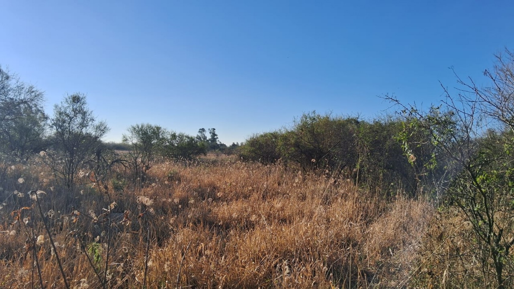 CAMPO APICOLA SOBRE RUTA 11 EN DESVIO ARIJON