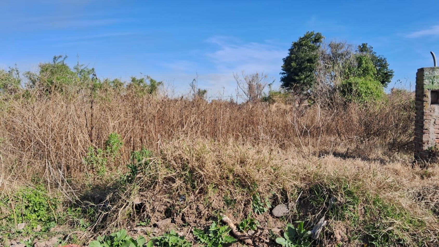 LOTE EN SANTO TOME