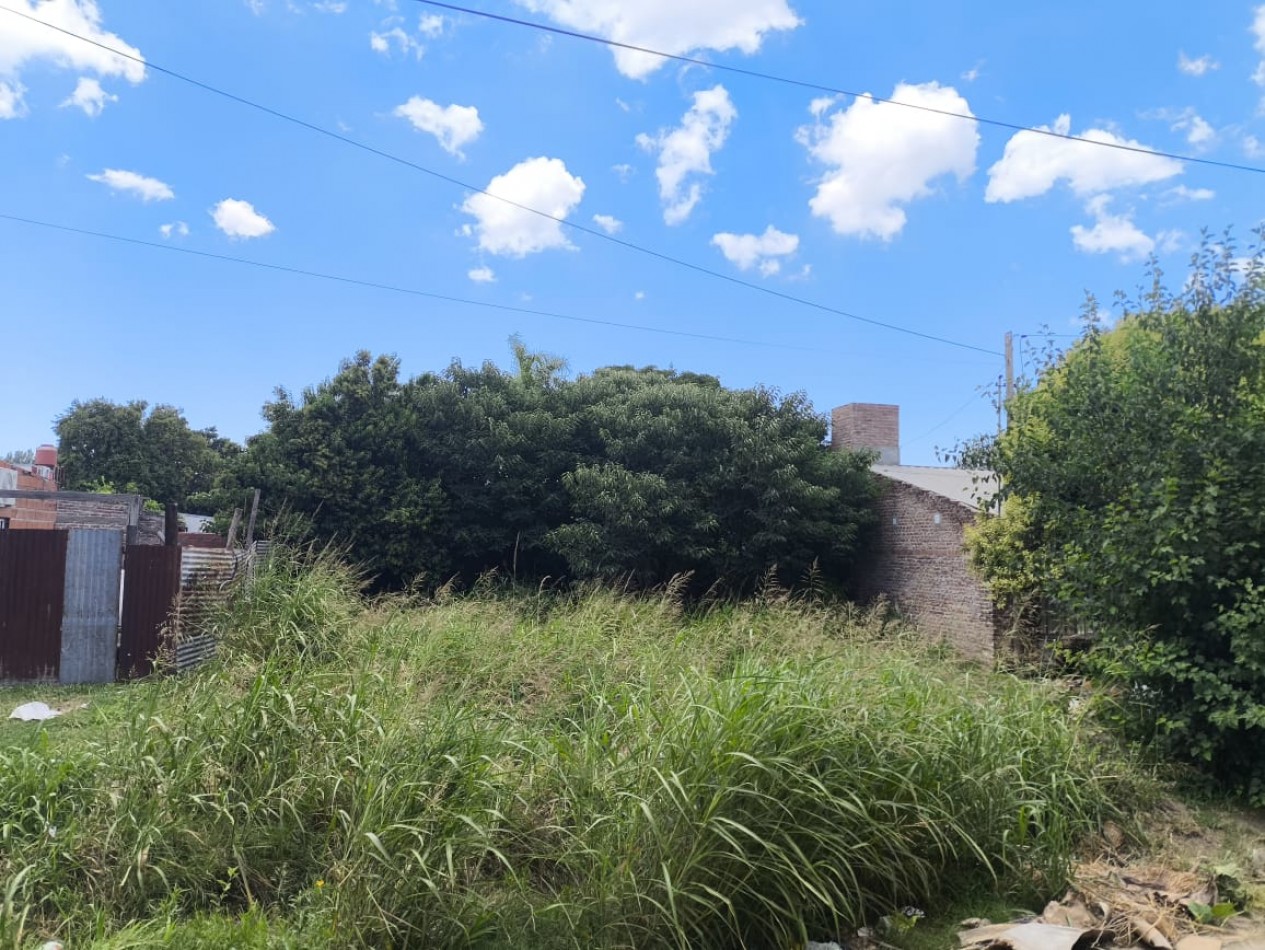 LOTE EN REGION NORTE DE SANTO TOME