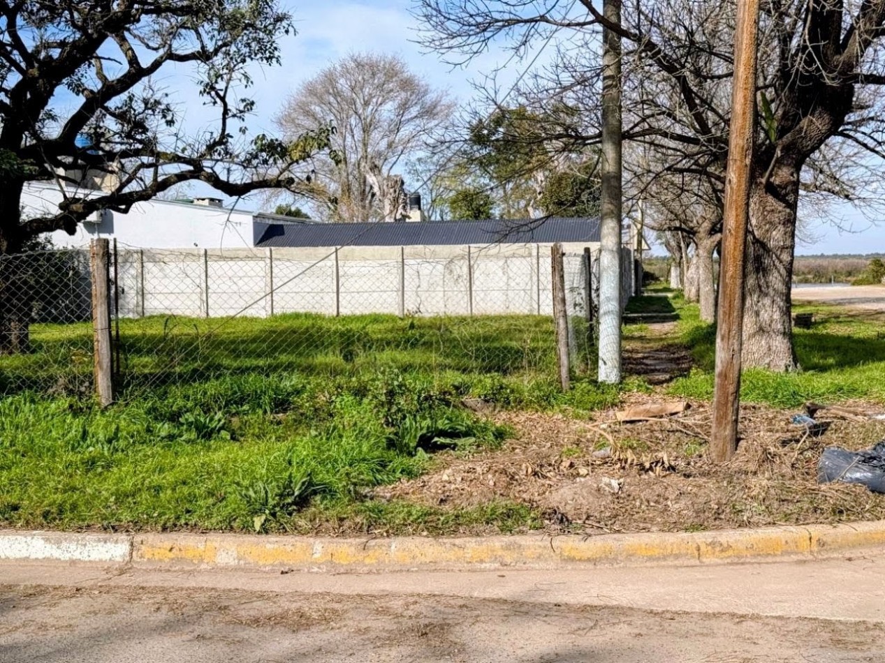 TERRENO EN ESQUINA, SAUCE VIEJO