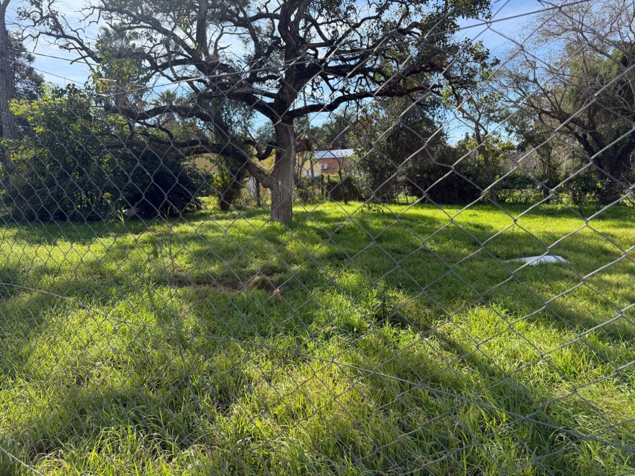 TERRENO EN ESQUINA, SAUCE VIEJO