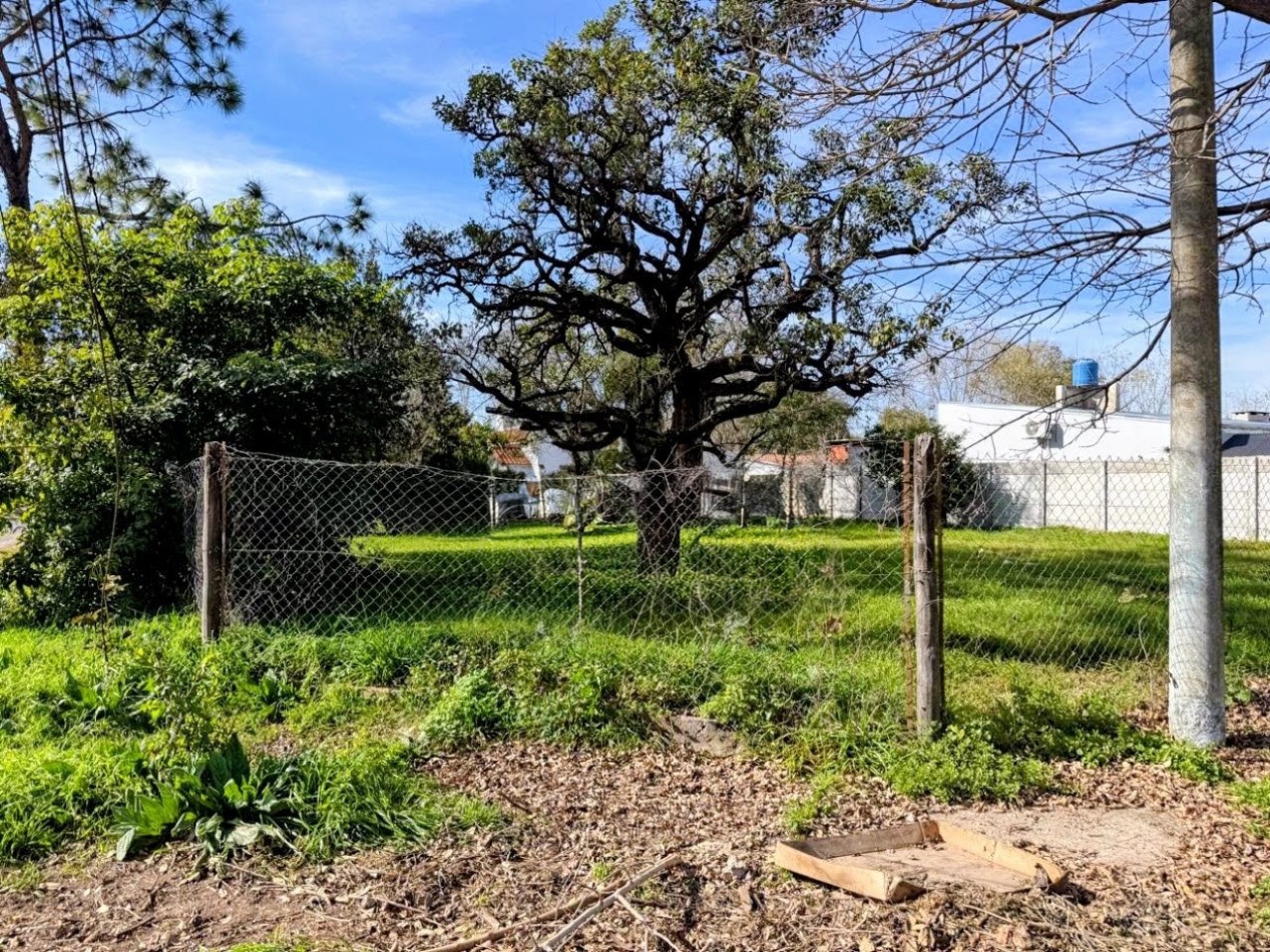 TERRENO EN ESQUINA, SAUCE VIEJO