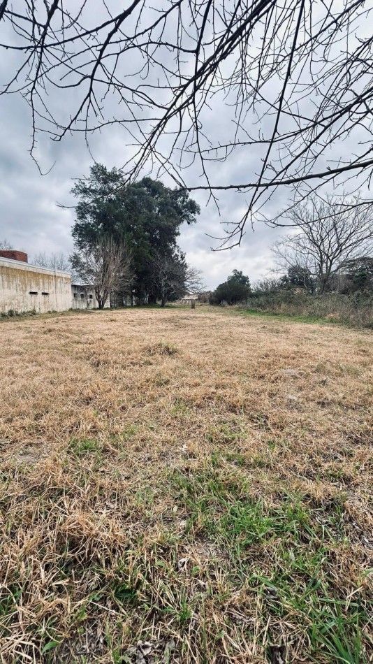 TERRENO EN COLASTINE NORTE